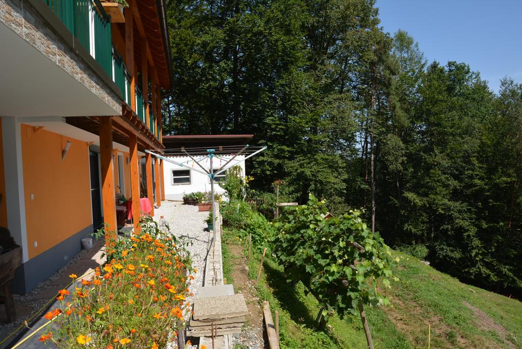 Gaestehaus Schmid Apartment Sankt Johann im Saggautal Exterior foto